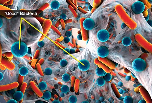 5 Ways To Supercharge Your Immune System