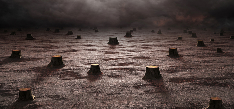 Barren