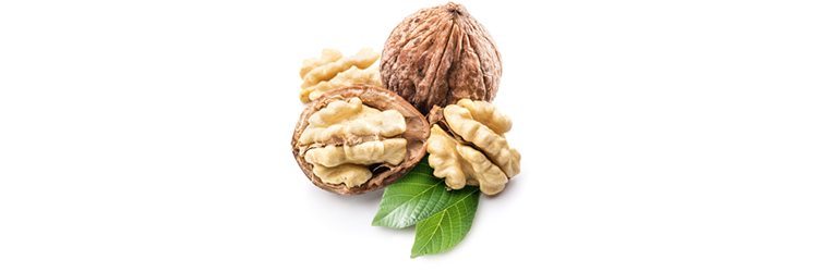 Walnut