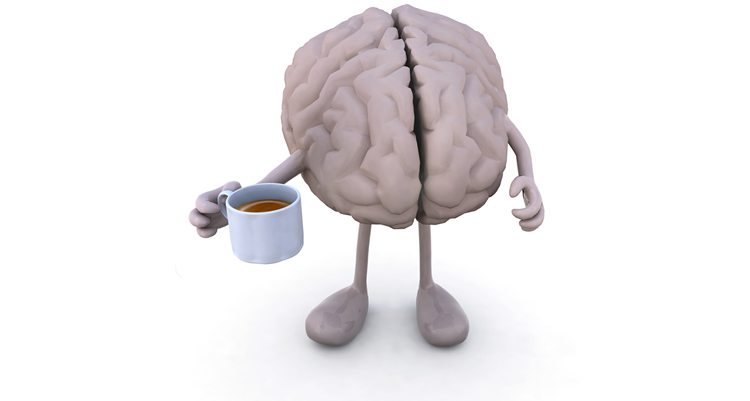 brain_health_liver