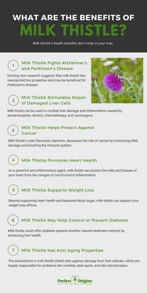 Milk Thistle For Liver 5 Milk Thistle Benefits Perfect Origins