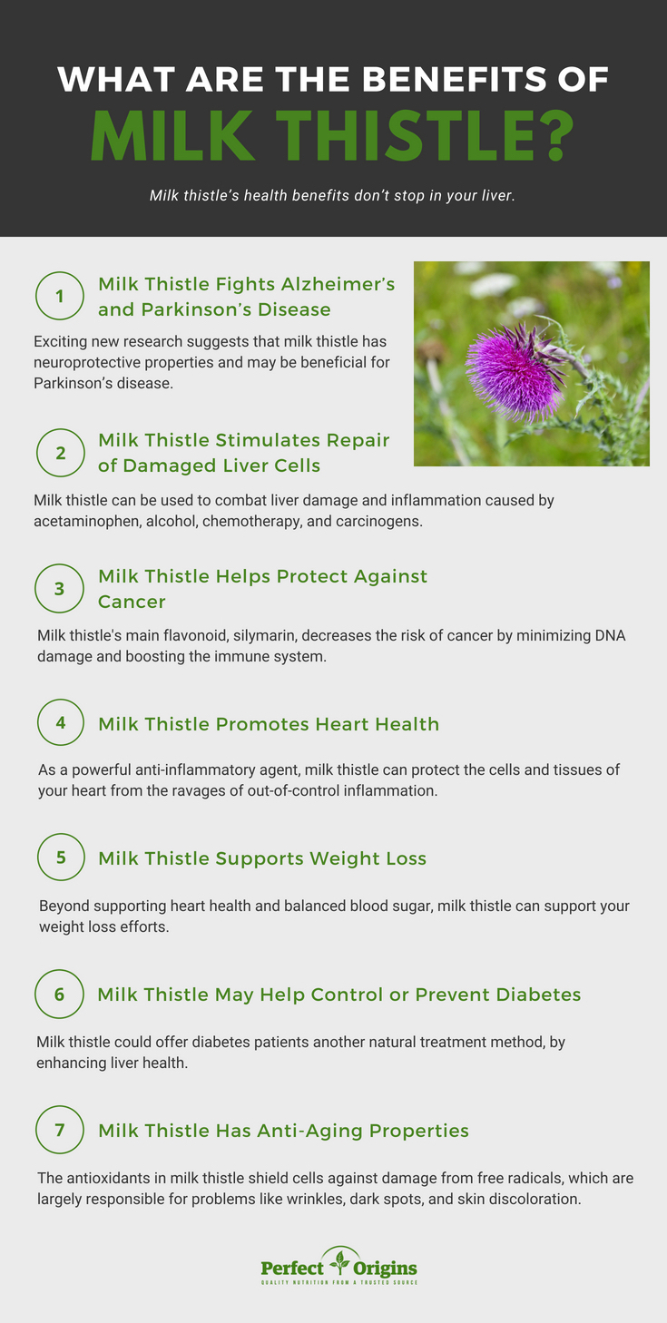 health_benefits_of_milk_thistle