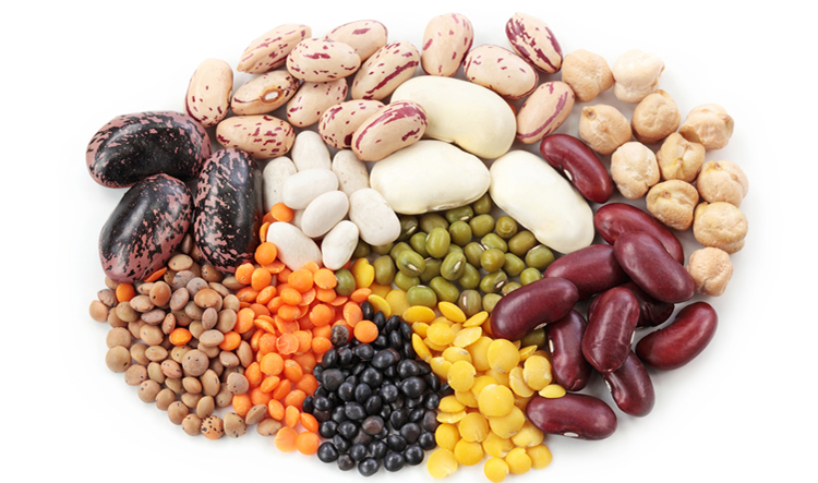 legumes