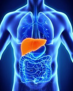 Liver Health
